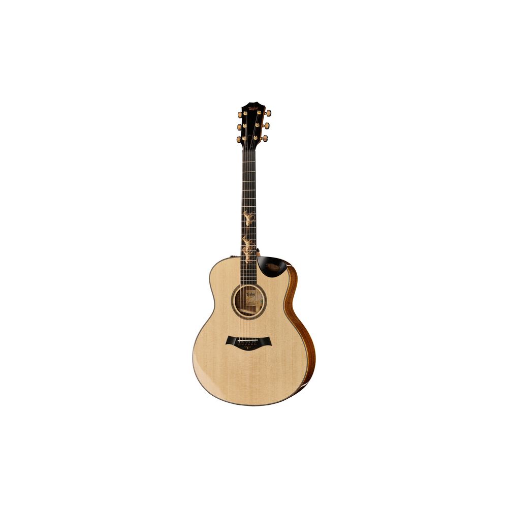 Taylor Custom #30 GS – Thomann Ireland