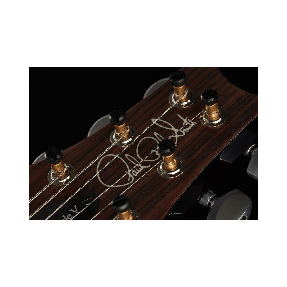 PRS Modern Eagle V BW – Thomann Ireland