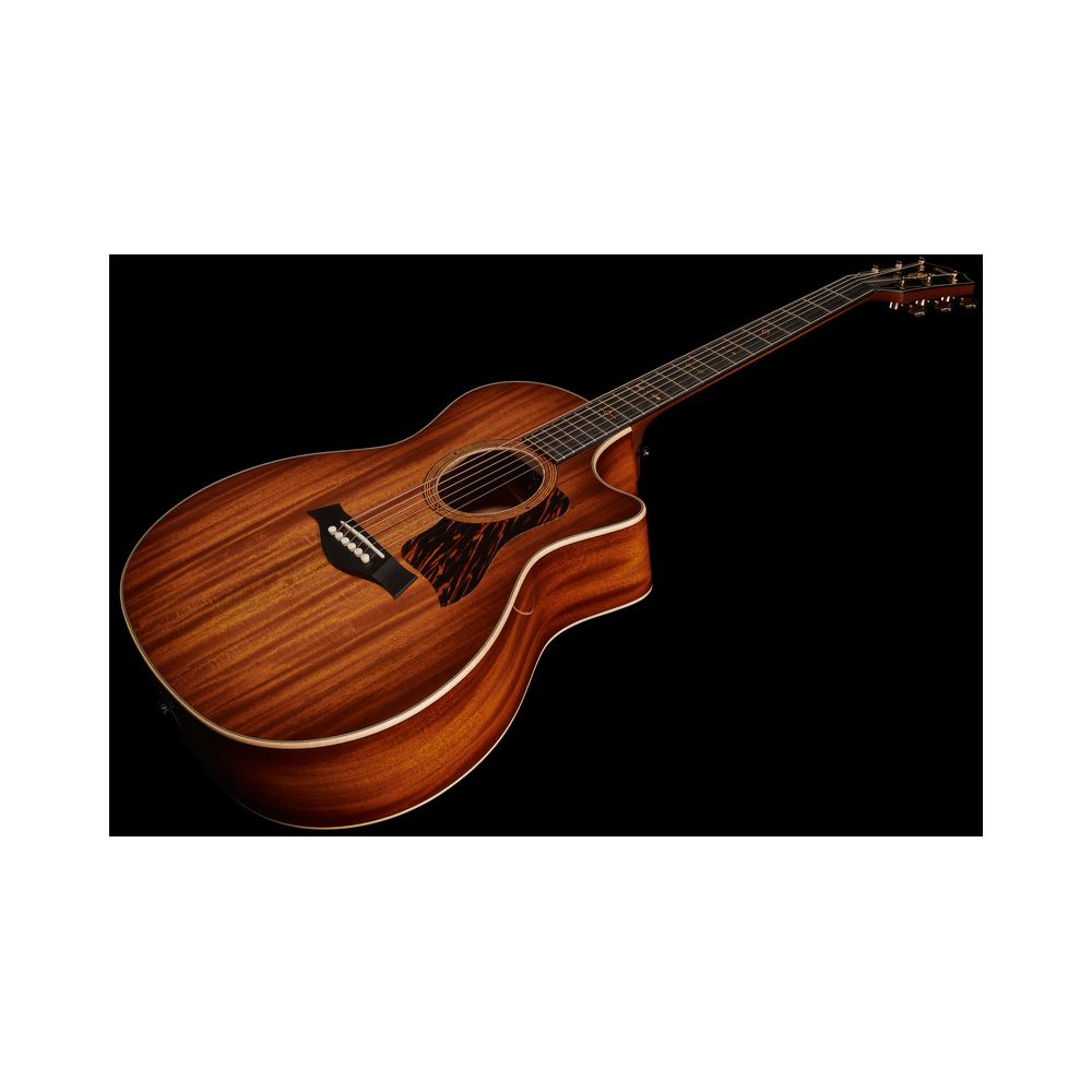 Taylor C24ce Grand Auditorium Custom – Thomann Ireland
