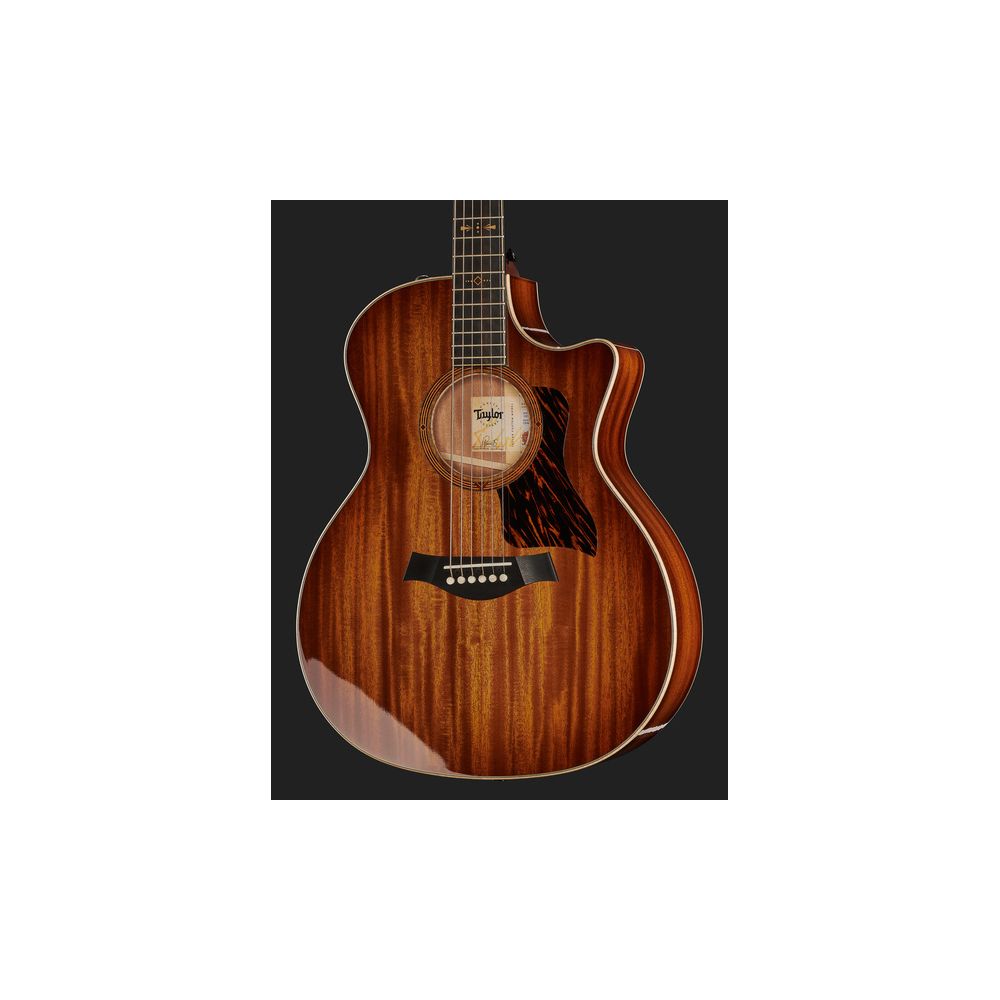 Taylor C24ce Grand Auditorium Custom – Thomann Ireland