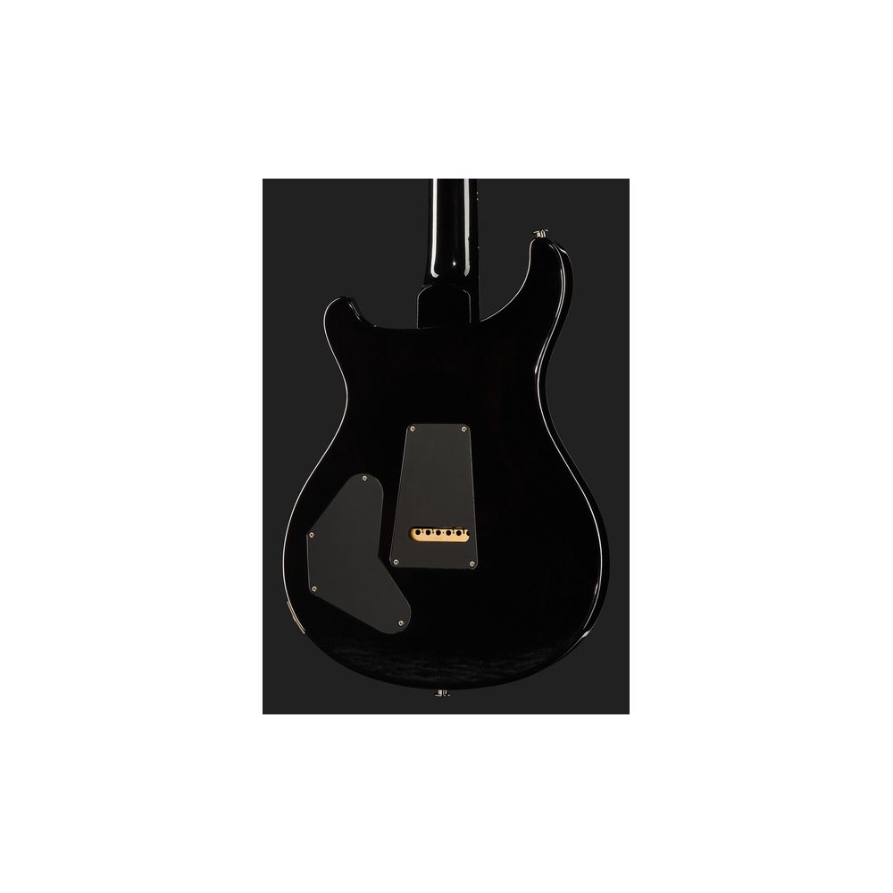 PRS DGT Birds Black Gold Burst '24 – Thomann Ireland
