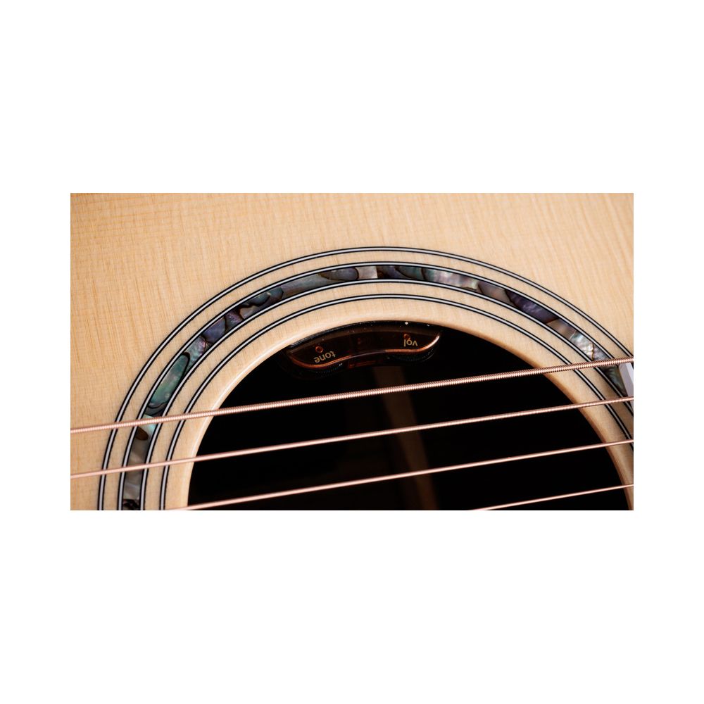 Taylor Legacy Edition 815e – Thomann Ireland