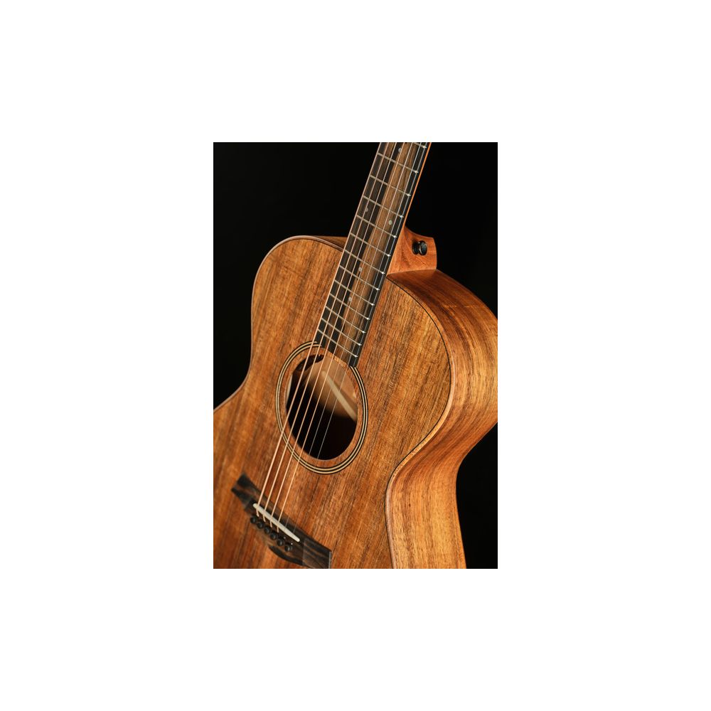 Taylor Jacob Collier Sign. JCSM