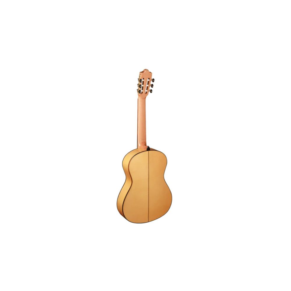 Alhambra Green Sustain Flamenco w/Bag – Thomann Ireland
