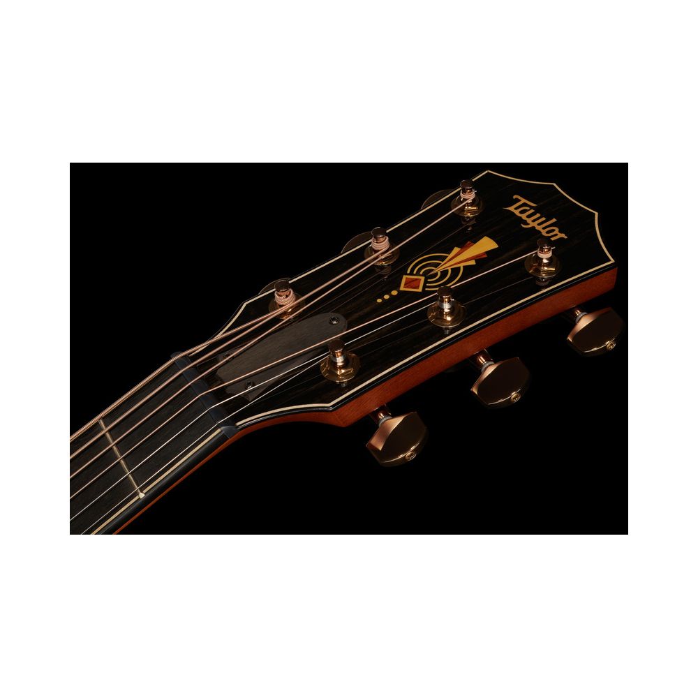 Taylor C24ce Grand Auditorium Custom – Thomann Ireland