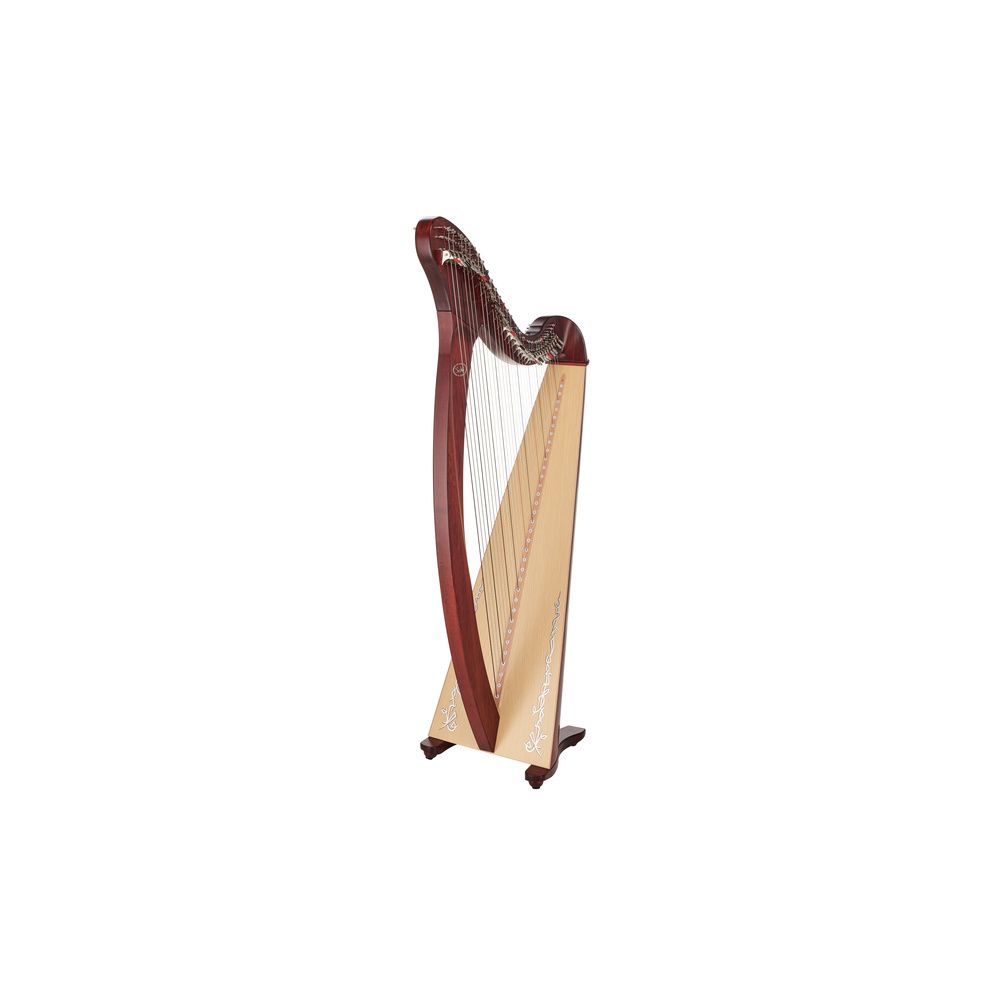 Salvi Donegal 34 Mahogany – Thomann Ireland