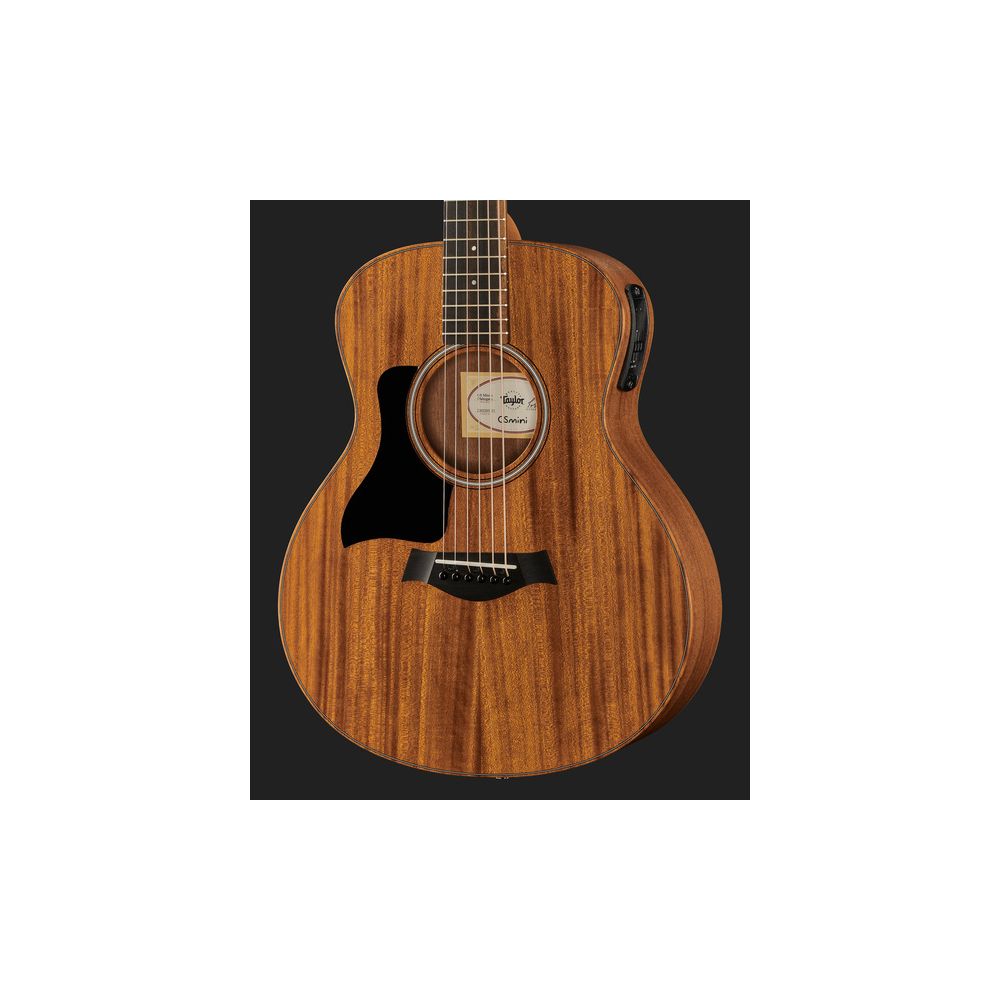Taylor GS Mini