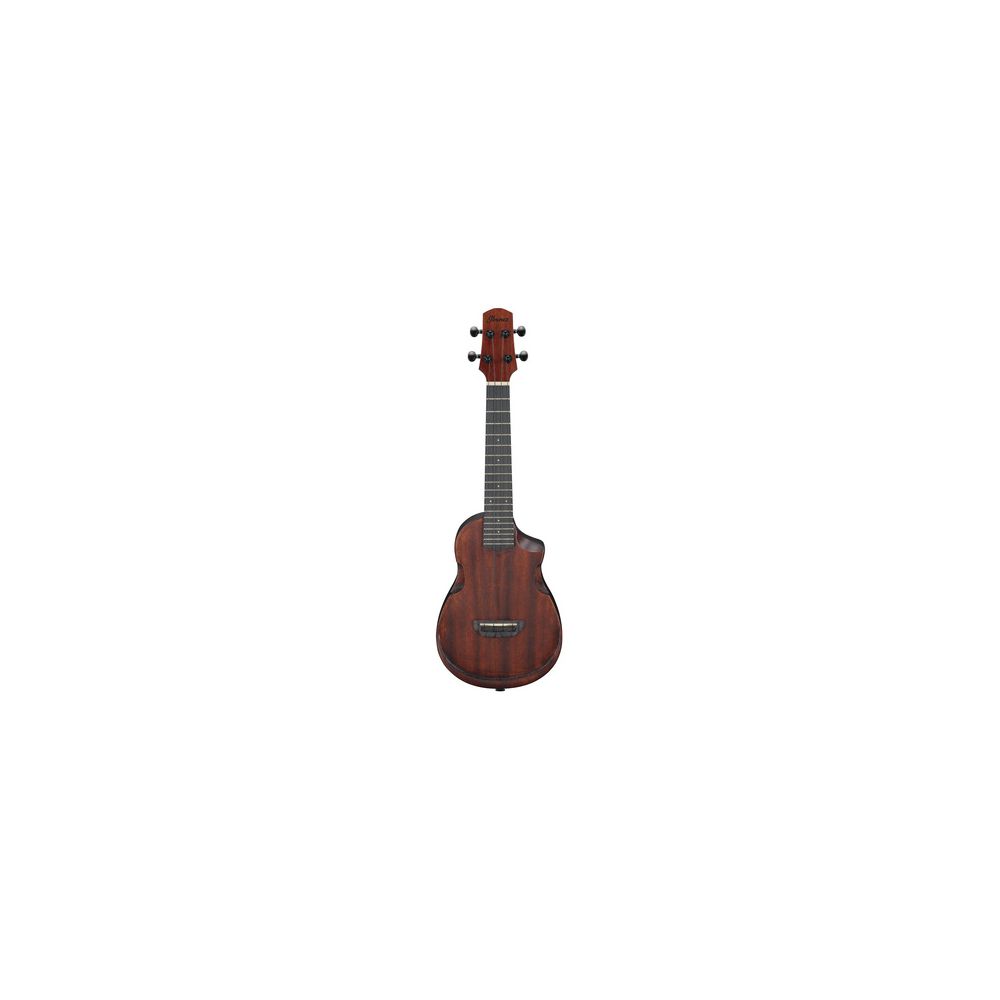 Ibanez AUC14
