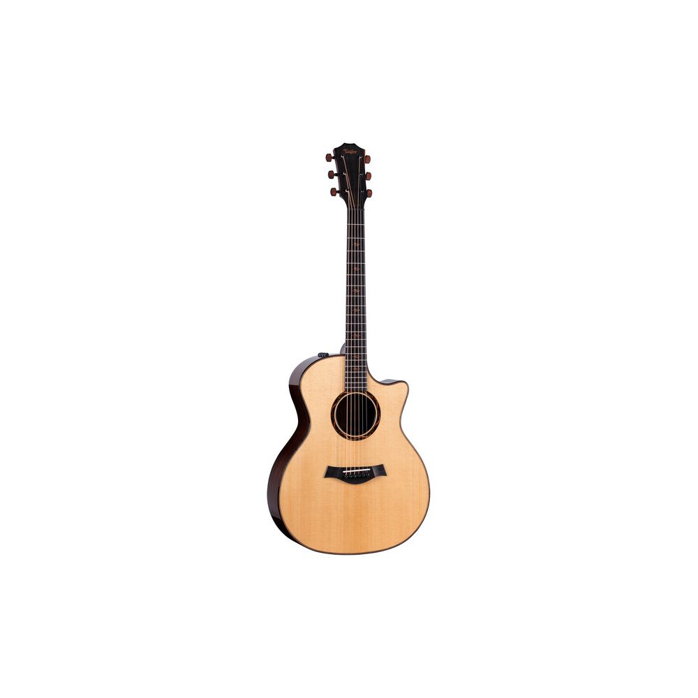 Taylor Custom #39: Madera Regal – Thomann Ireland