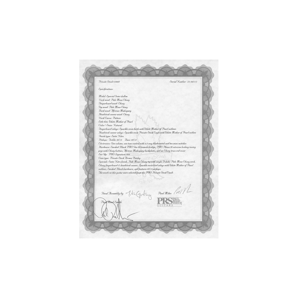 PRS Special 22 SH PS Pale Moon – Thomann Ireland