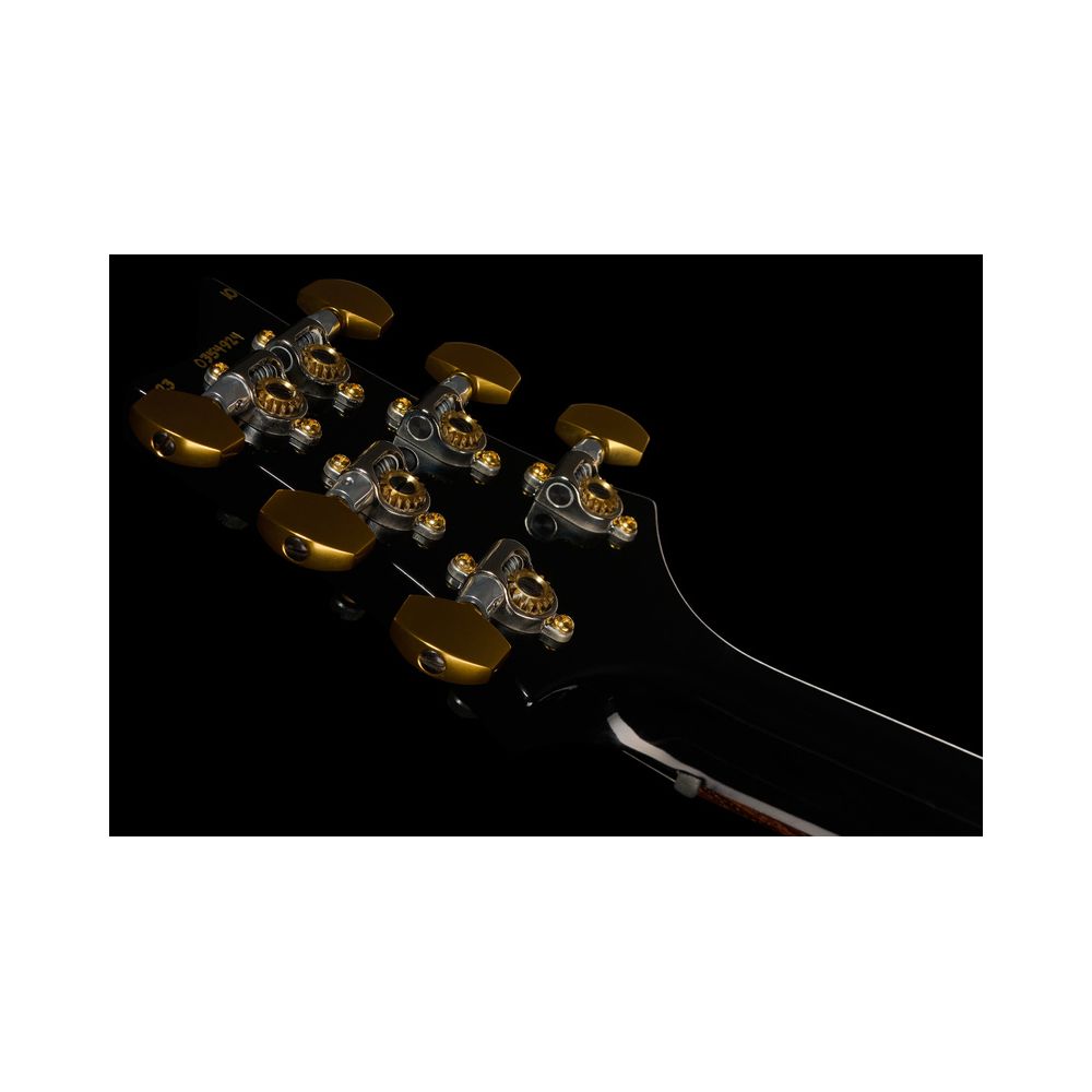 PRS Mark Tremonti FW 10 Top ST – Thomann Ireland