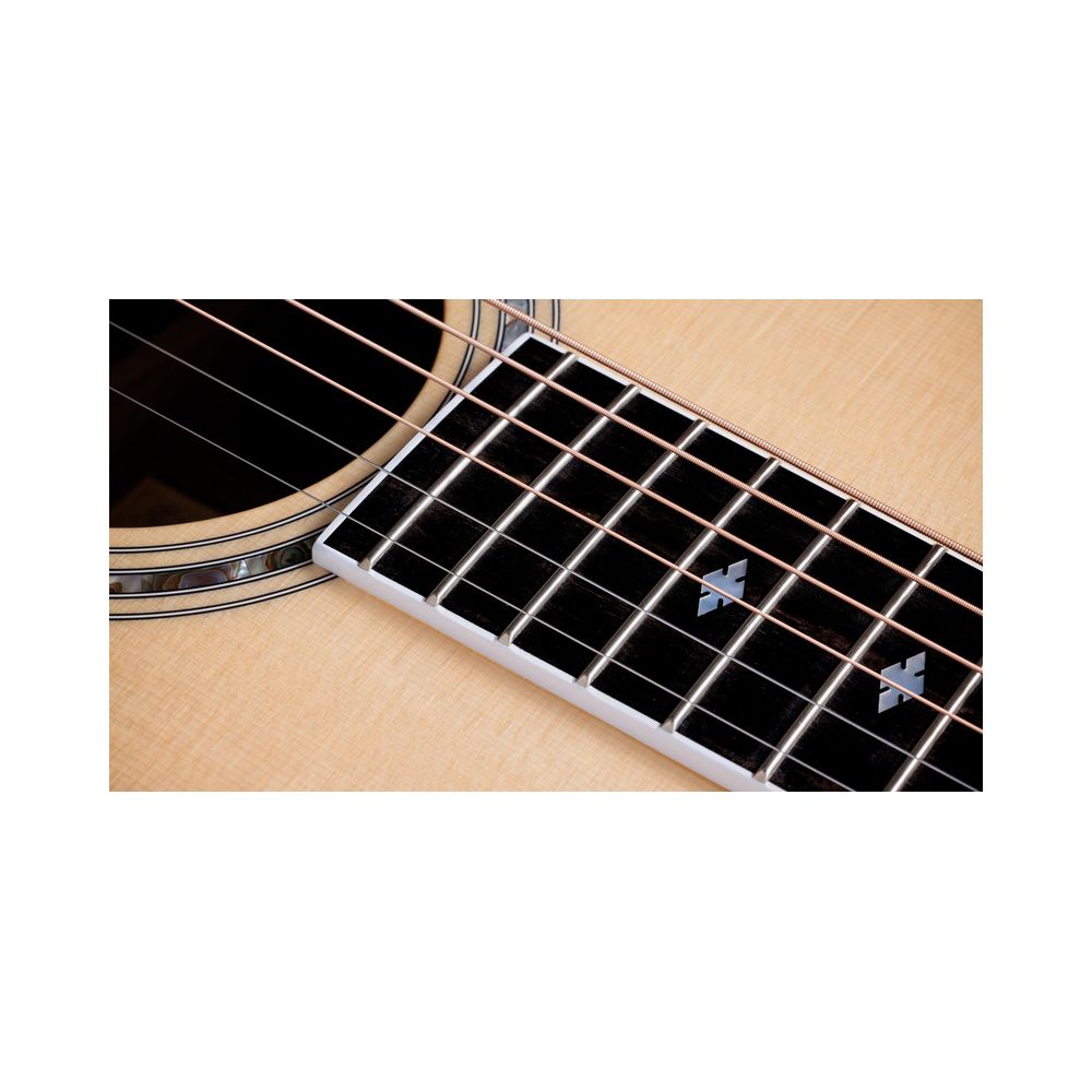 Taylor Legacy Edition 815e – Thomann Ireland
