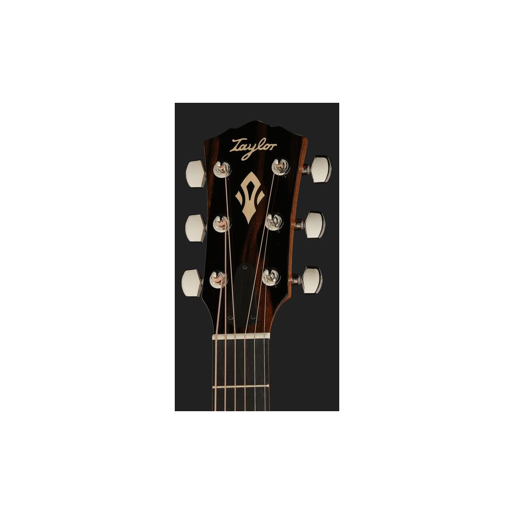 Taylor Gold Label 517e – Thomann Ireland