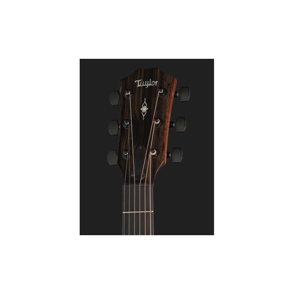 Taylor 324Ce LH V