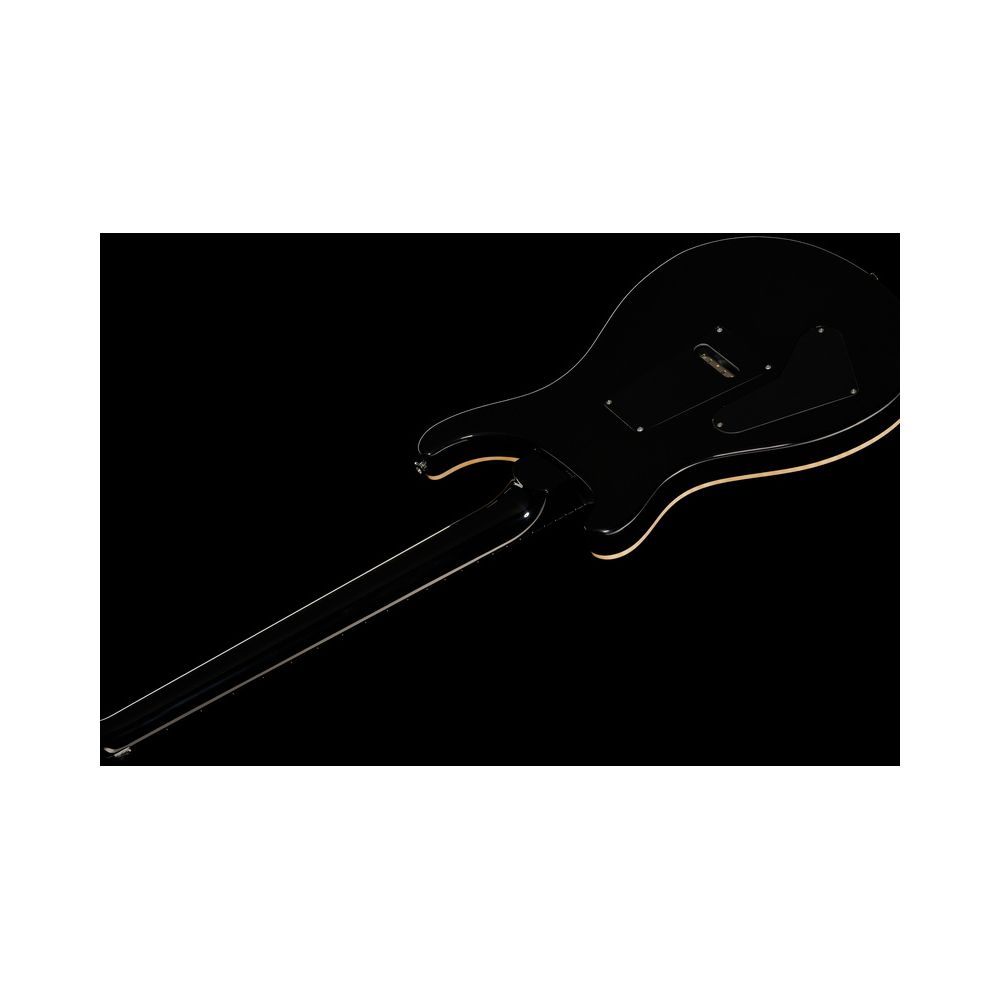 PRS Custom 24 Floyd FW – Thomann Ireland