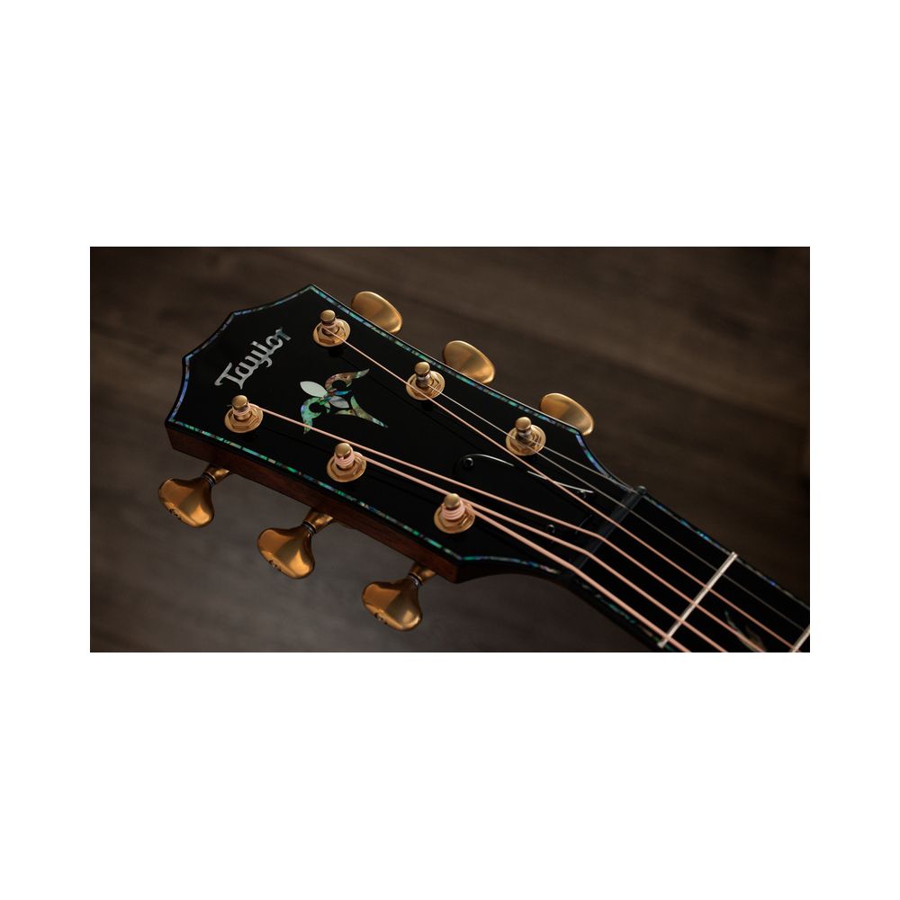 Taylor PS14ce Figured Urban Ironback – Thomann Ireland