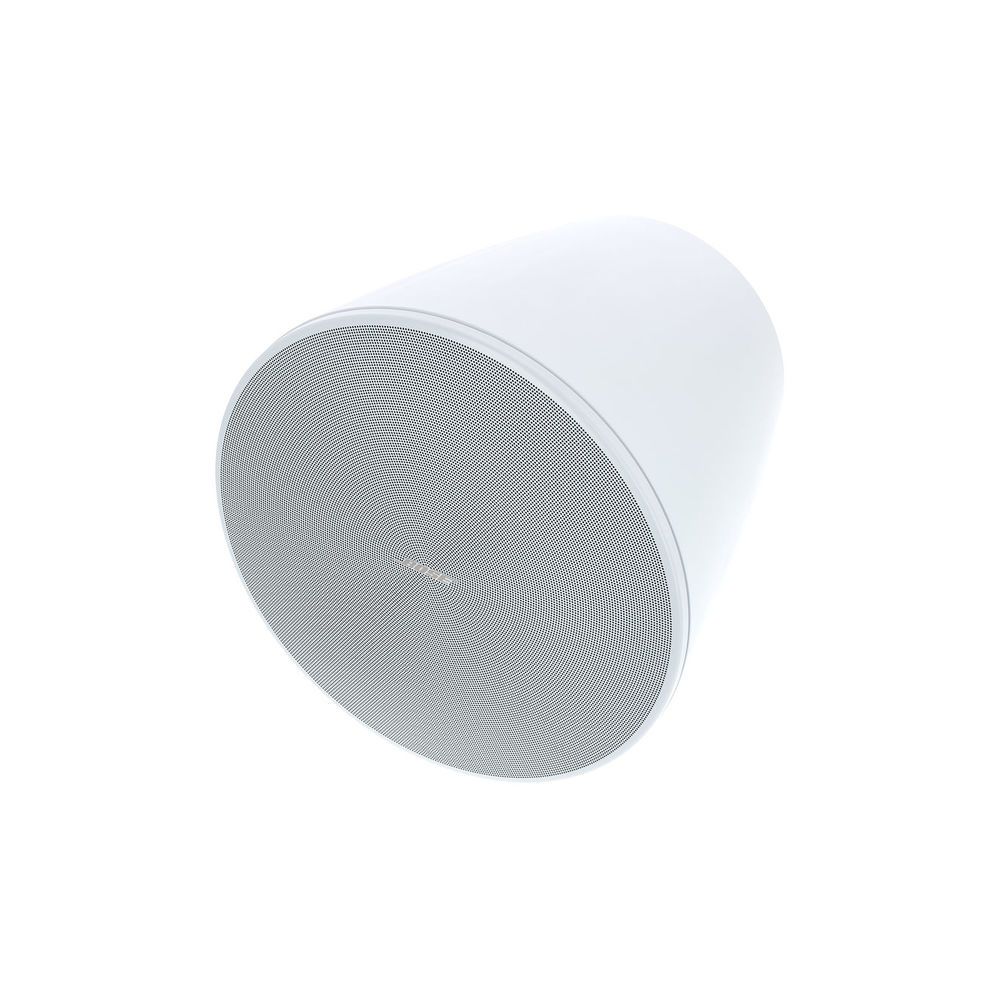 Bose Professional DesignMax DM10P
