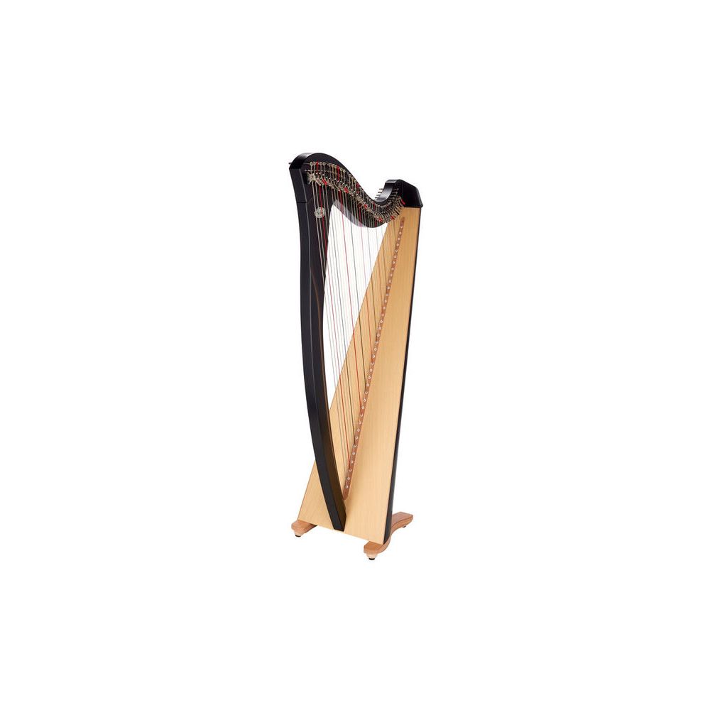 Salvi Gaia 38 Ebony – Thomann Ireland