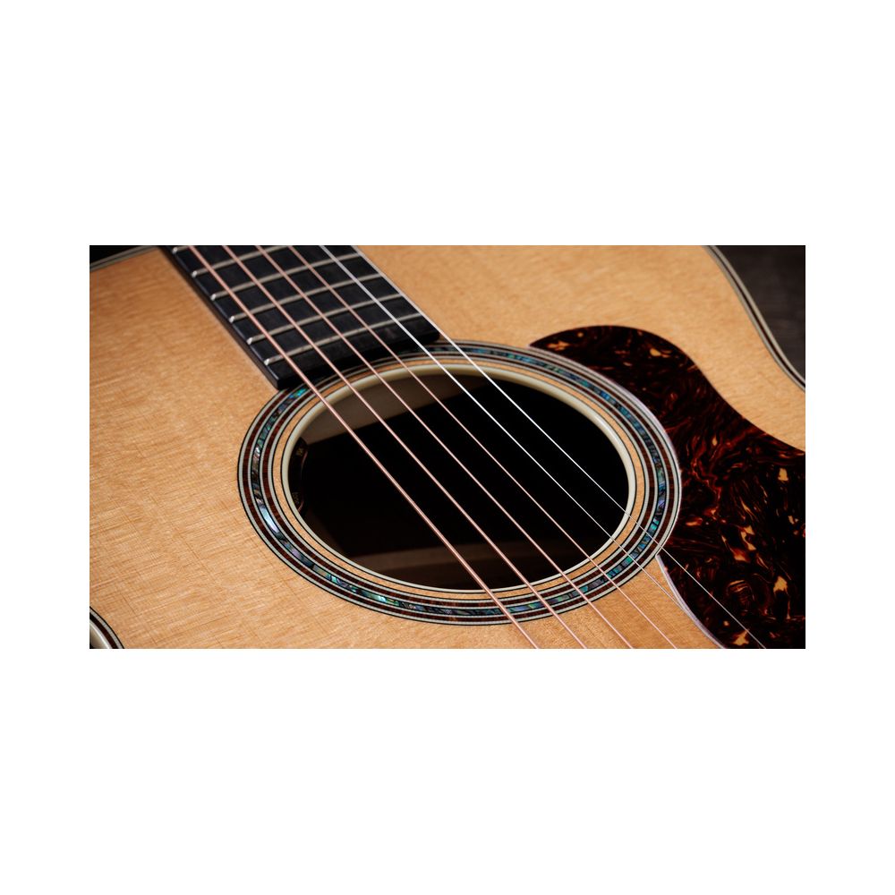 Taylor Gold Label 814e – Thomann Ireland