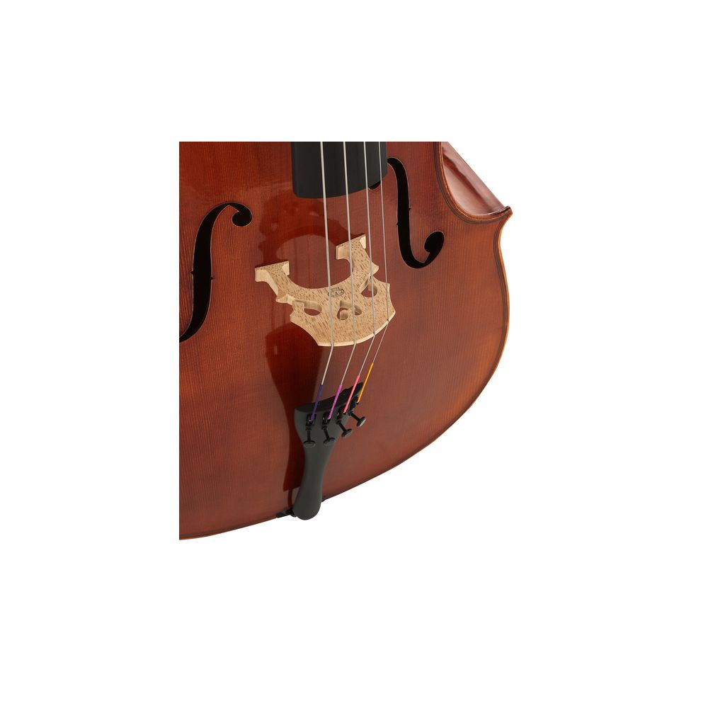 Gewa Maestro 31 Cello 4/4 – Thomann Ireland