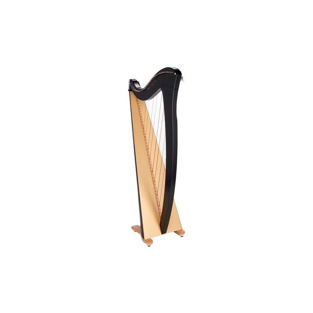 Salvi Gaia 38 Ebony – Thomann Ireland