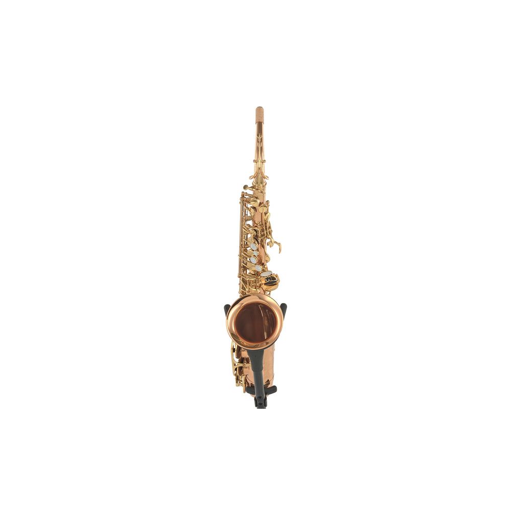 Forestone RX Red Brass GL Alto Sax – Thomann Ireland