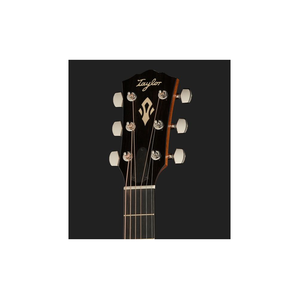 Taylor Gold Label 717e Blacktop – Thomann Ireland
