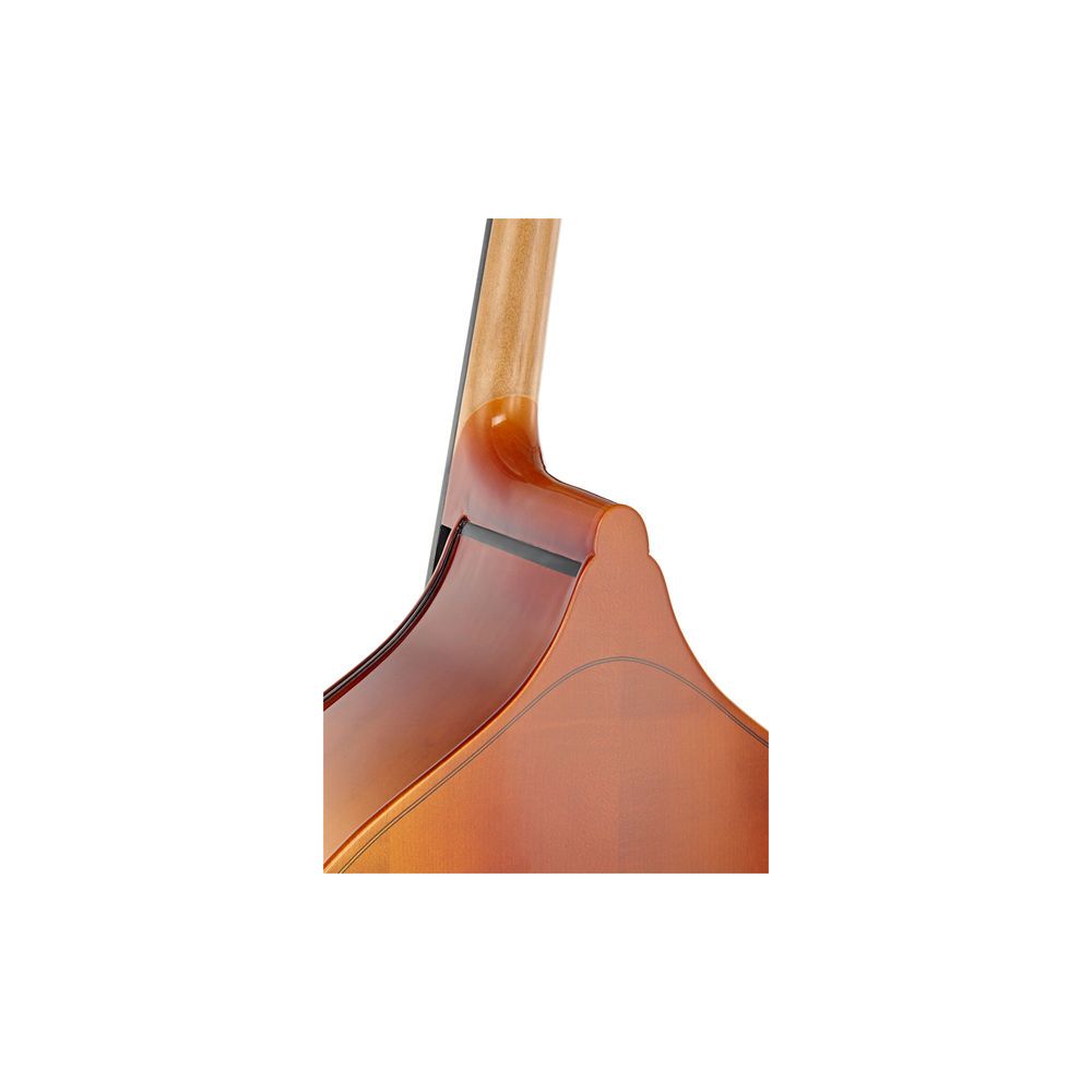 Thomann 33 1/2 Europe Double Bass – Thomann Ireland