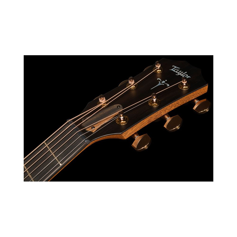 Taylor 724ce Gloss – Thomann Ireland