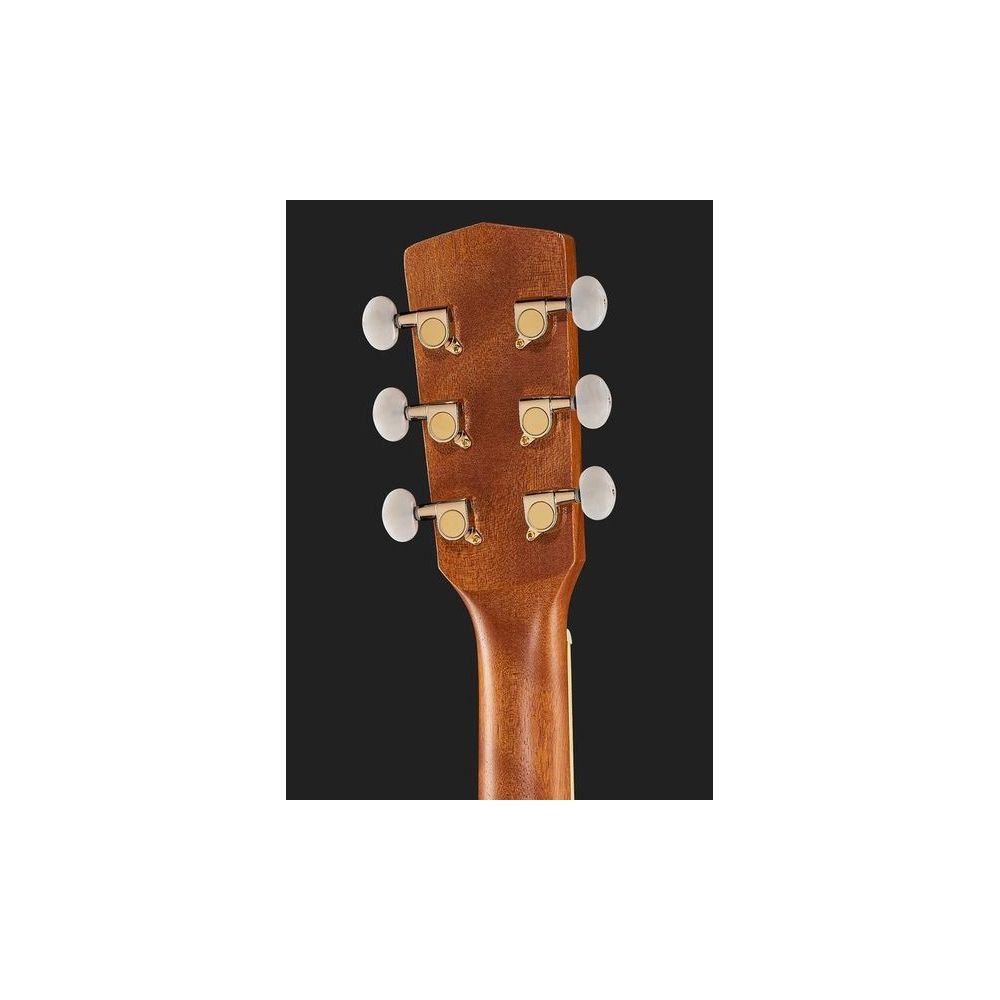 Harley Benton Blues Guitar w/Bag – Thomann Ireland