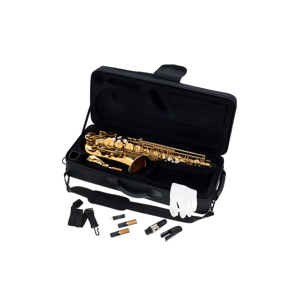 Thomann Little Bee Kids Saxophone – Thomann Ireland