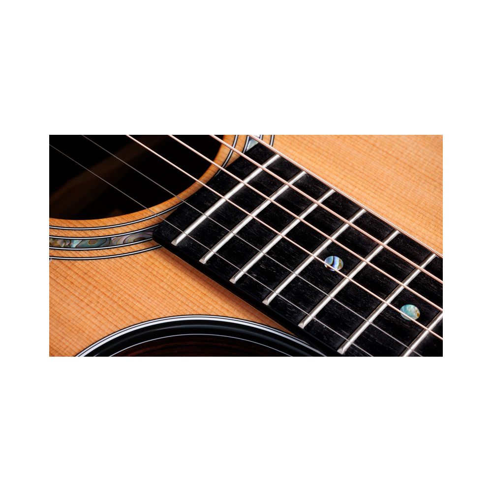 Taylor Legacy Edition 714ce – Thomann Ireland