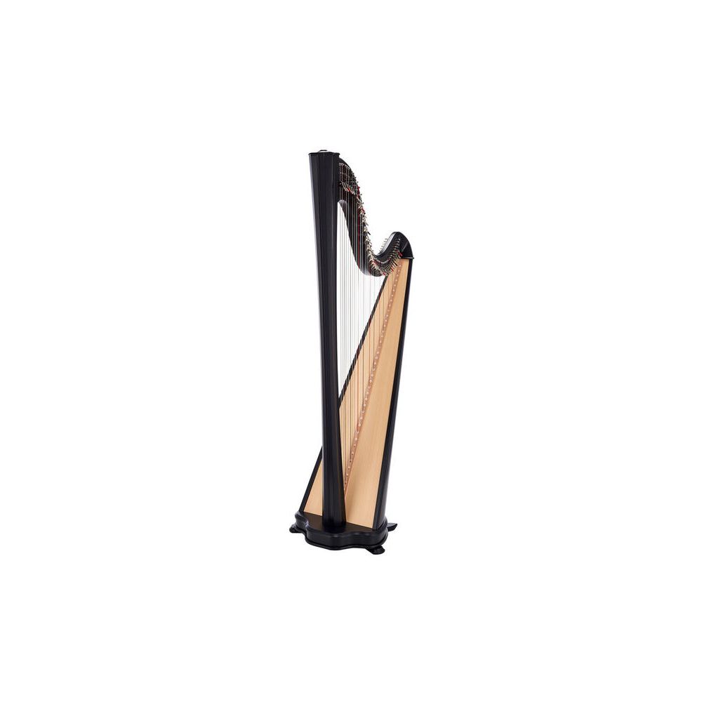 Salvi Hermes Ebony Sipario Biocarb. – Thomann Ireland