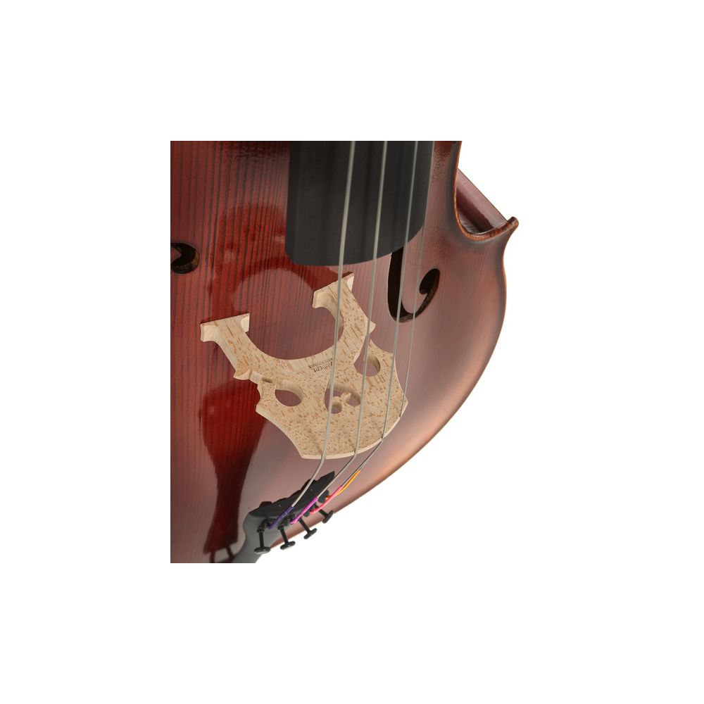 Gewa Maestro 2 Cello Set 4/4 MB – Thomann Ireland