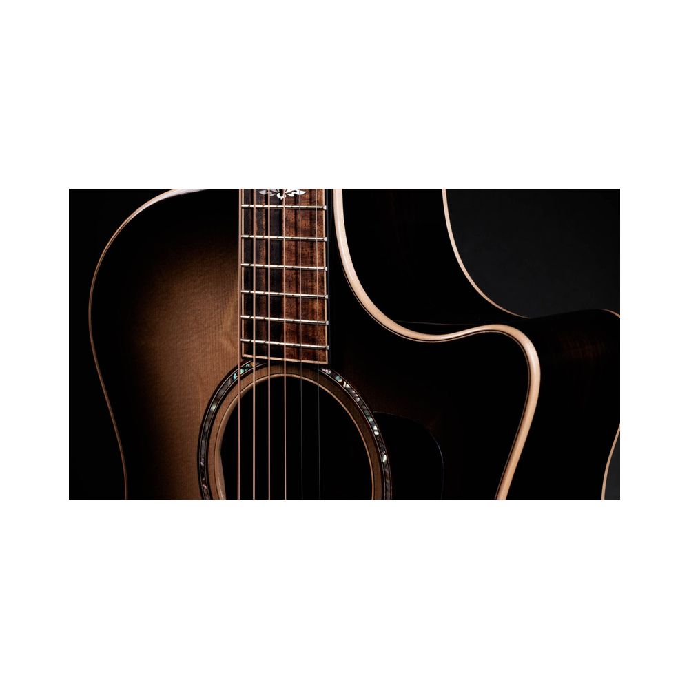Taylor 814ce Special Edition Charcoal – Thomann Ireland