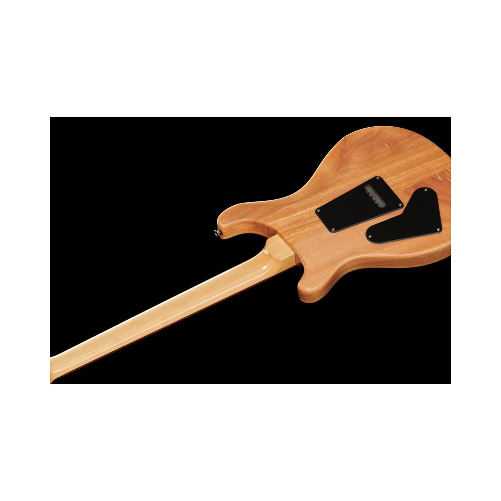 PRS SE Custom 24 TU – Thomann Ireland