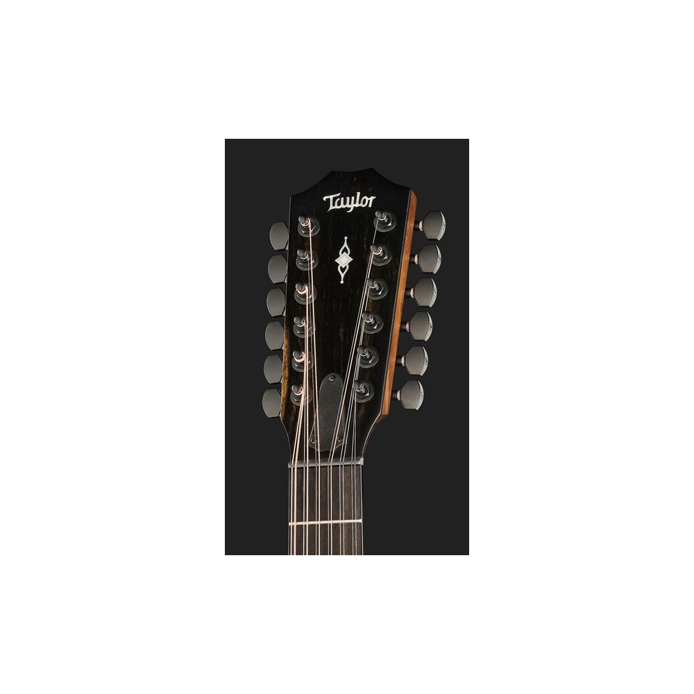 Taylor 362CE 12 Fret 12 string – Thomann Ireland