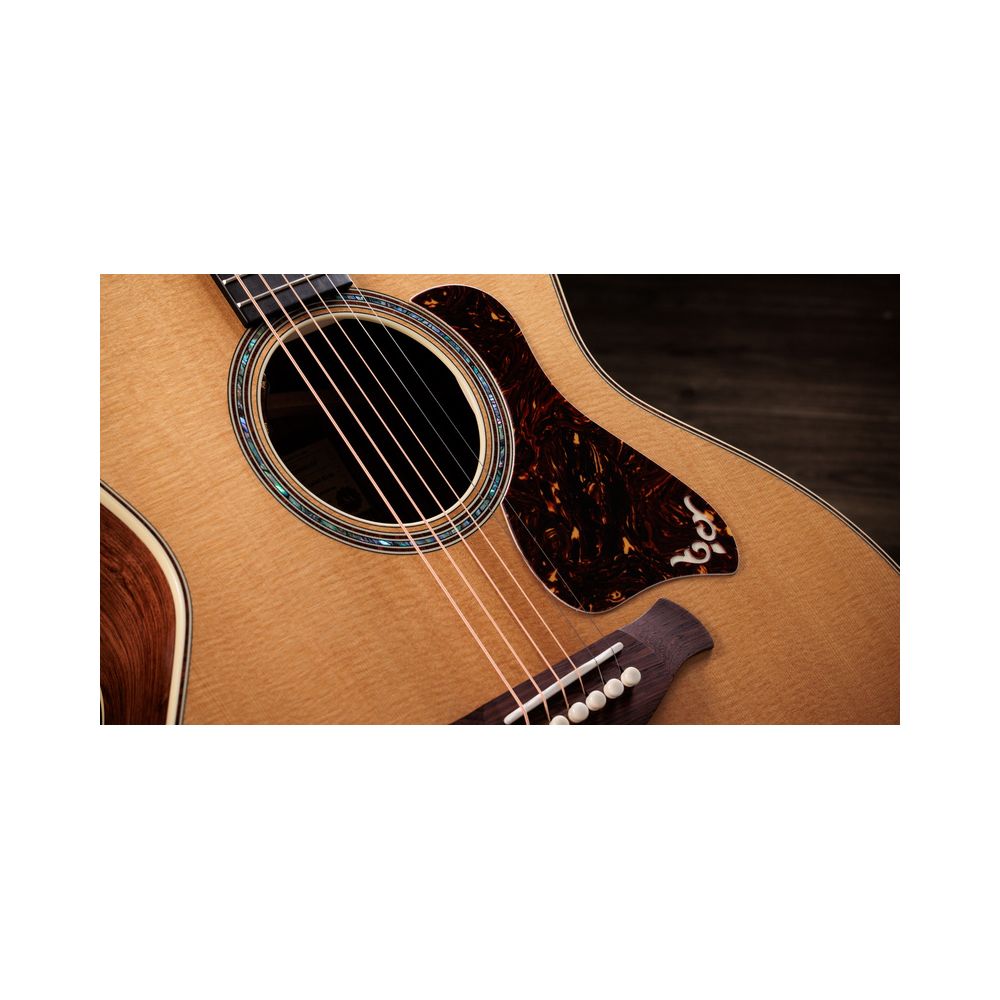 Taylor Gold Label 814e – Thomann Ireland