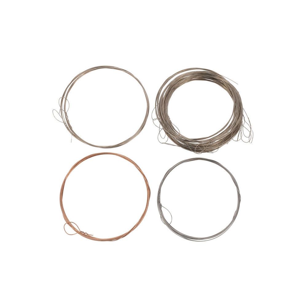 Thomann Nataraj Dilruba Strings Set – Thomann Ireland