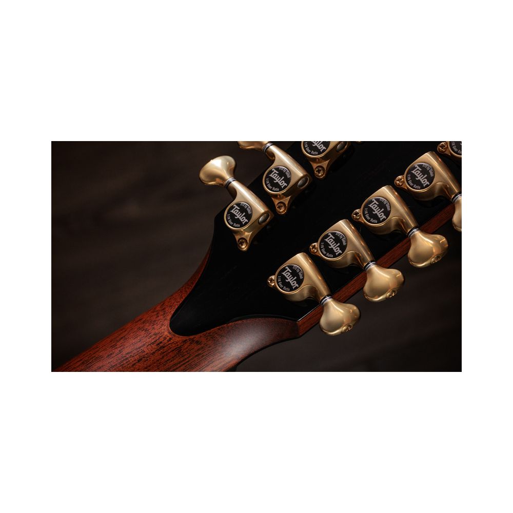 Taylor PS54ce – Thomann Ireland