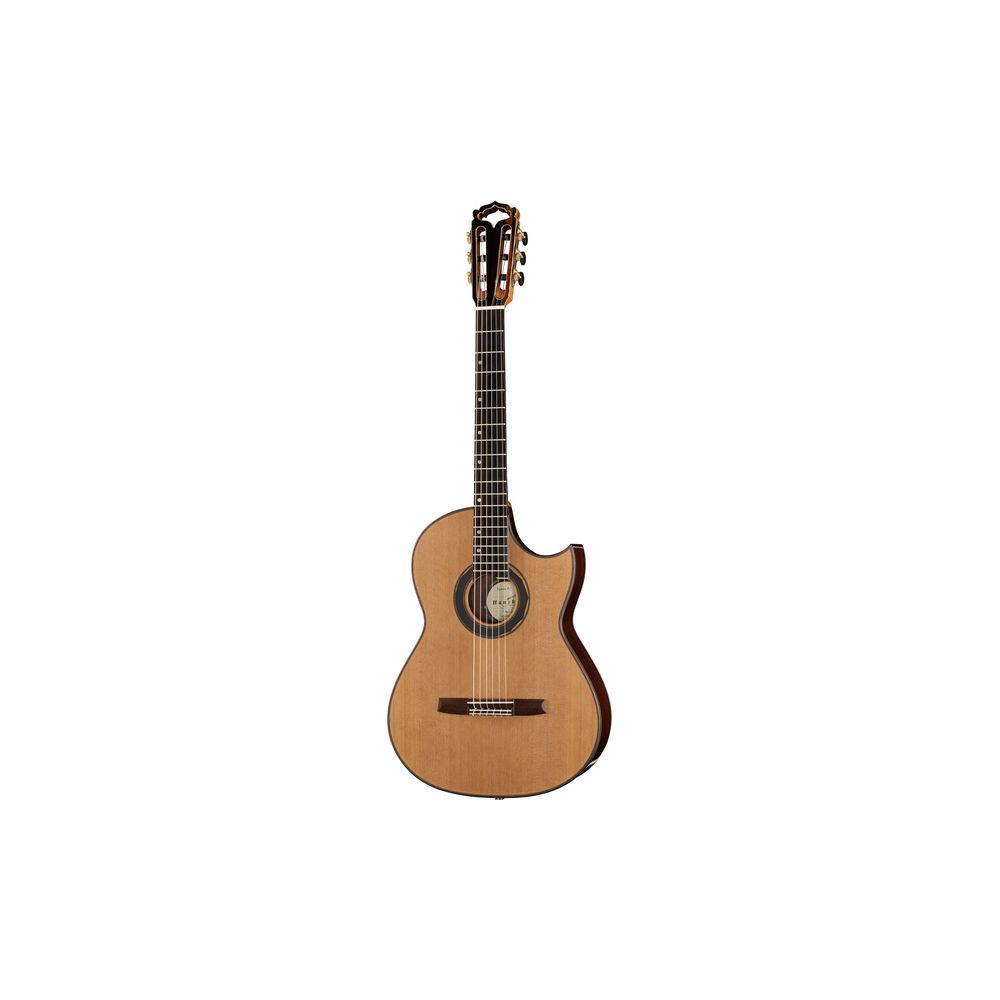 Hanika Fusion PC w/Pickup – Thomann Ireland
