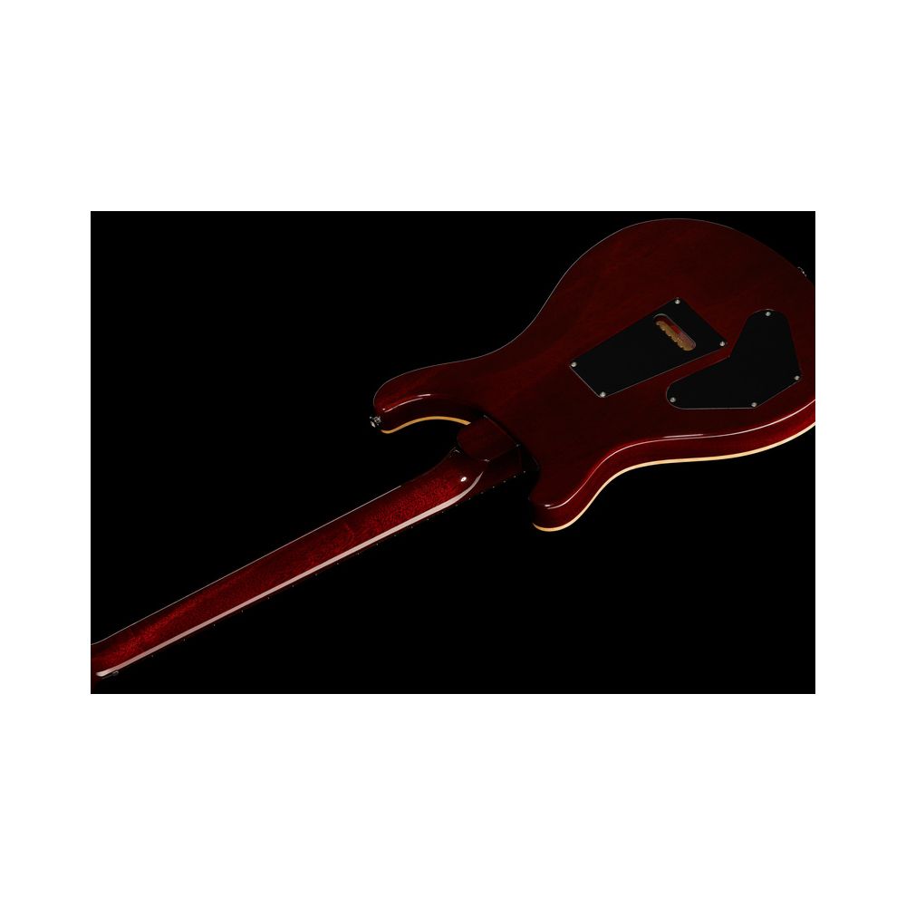 PRS DGT Birds DS – Thomann Ireland