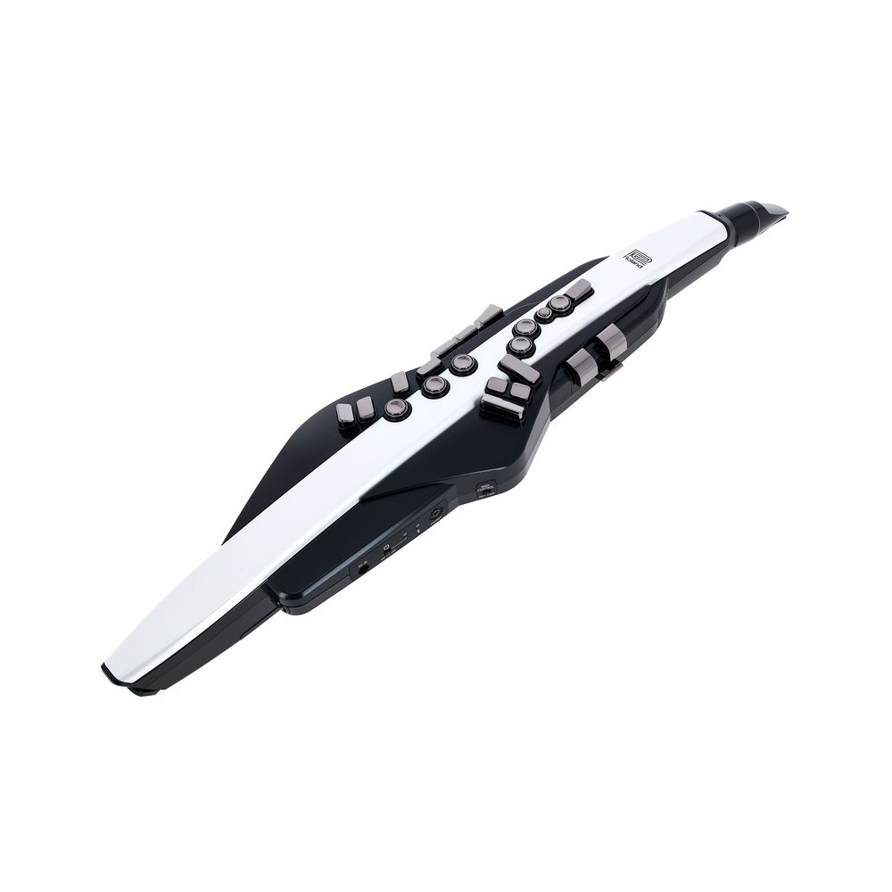 Roland Aerophone AE
