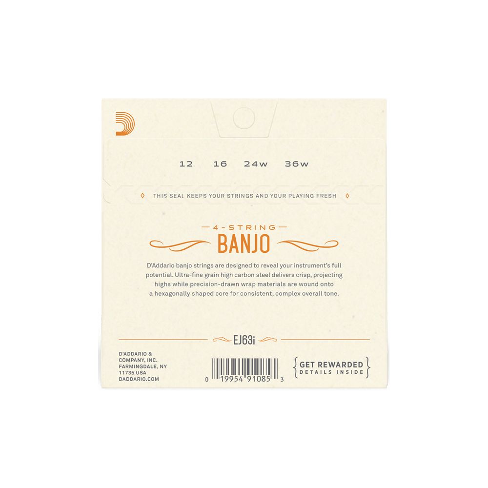 Daddario EJ63i Irish Tenor Banjo Set – Thomann Ireland