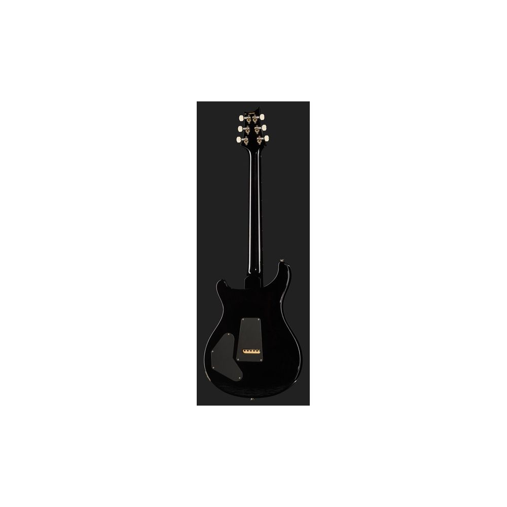 PRS DGT Birds Black Gold Burst '24 – Thomann Ireland