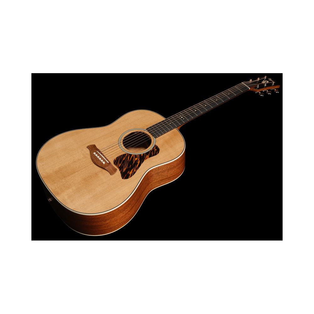 Taylor Gold Label 517e – Thomann Ireland