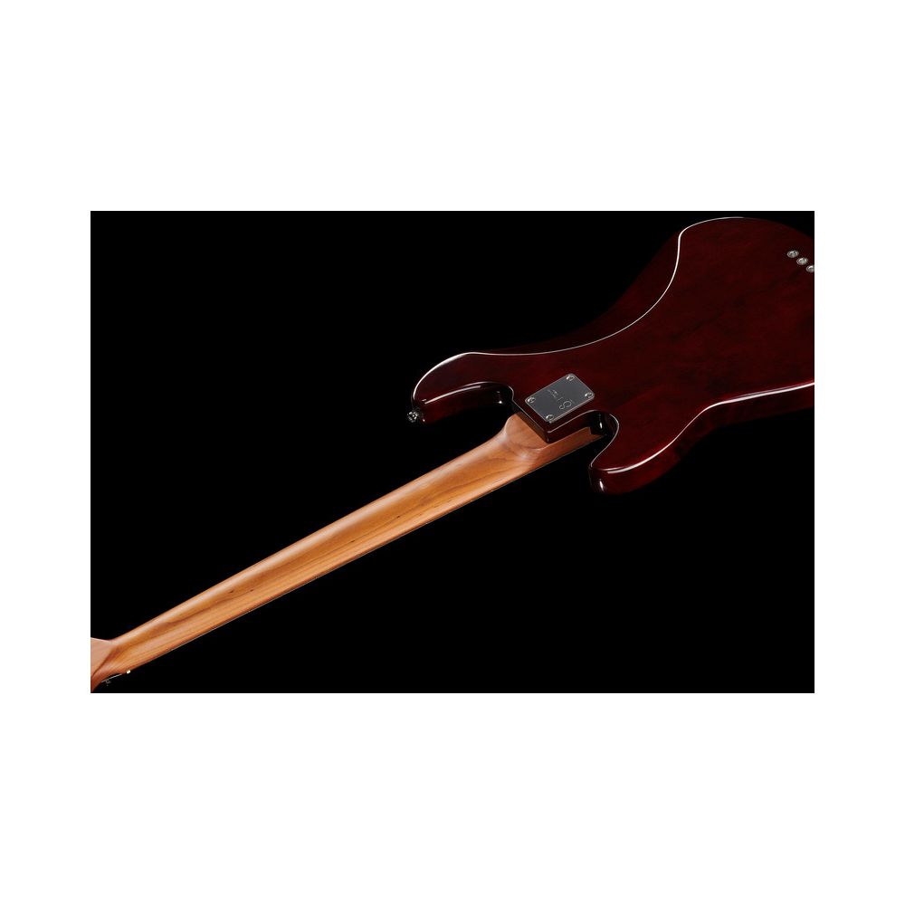 Marcus Miller P5 Alder