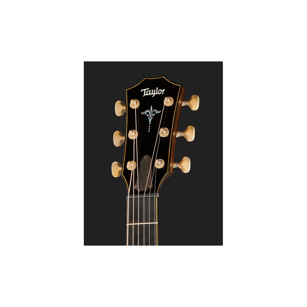 Taylor Builders Edition 912ce Sinker – Thomann Ireland