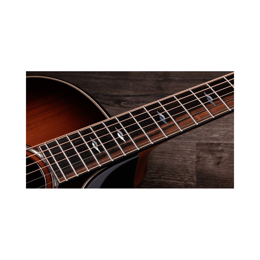 Taylor Builder’s Ed. 814ce Sinker – Thomann Ireland