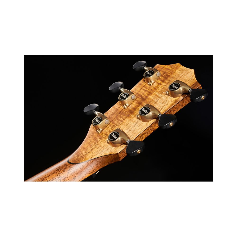 Taylor Custom #6 GA – Thomann Ireland